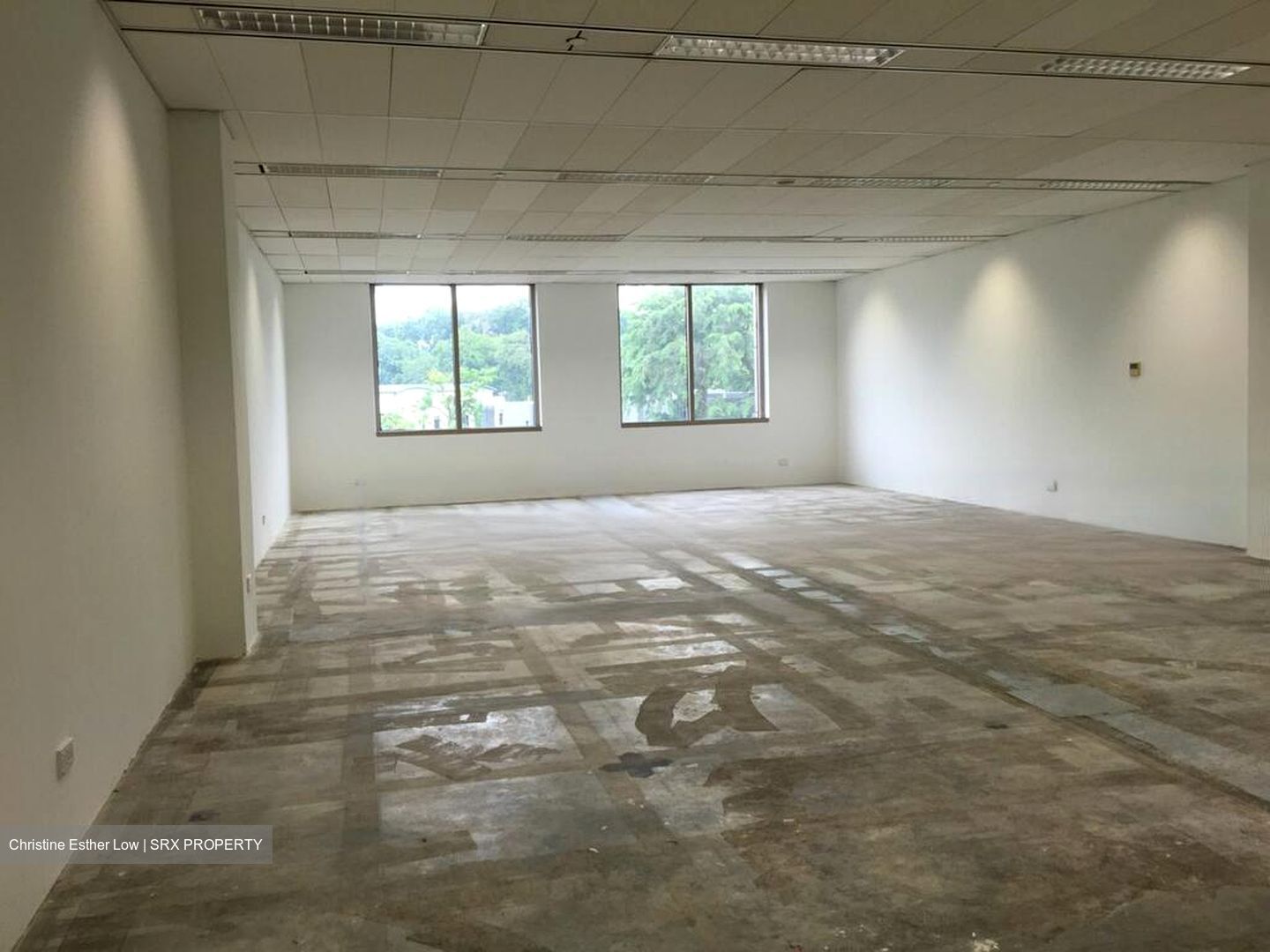 Starhub Centre (D9), Office #463365261